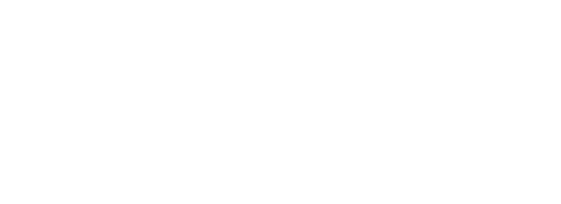 Secure100-Sicherheitsdienst